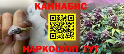 гашик Можга