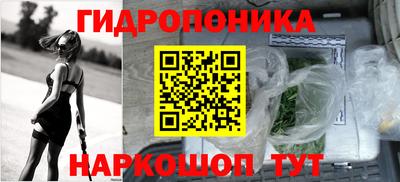 гашик Можга