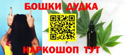 гашик Можга