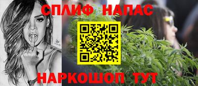 гашик Можга