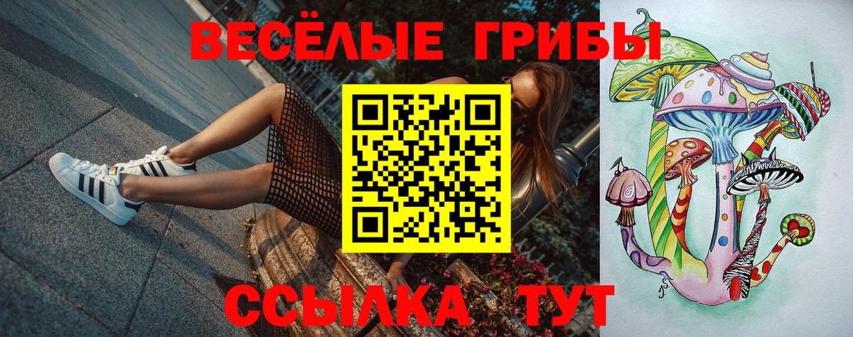 Галлюциногенные грибы мицелий  Вход с VPN  Ревда  Галлюциногенные грибы Psilocybine cubensis 